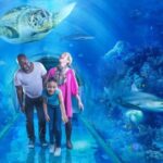 National Sea Life Centre Birmingham Reviews: A Comprehensive Guide